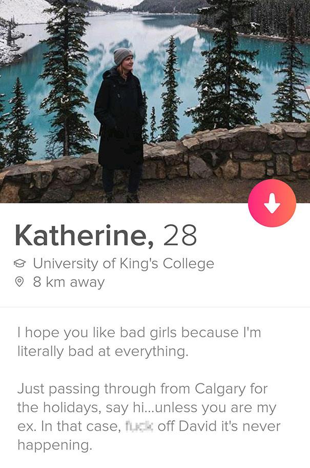 60 Creative Tinder Bios You May Want To Steal For Yourself - Inspirationfeed