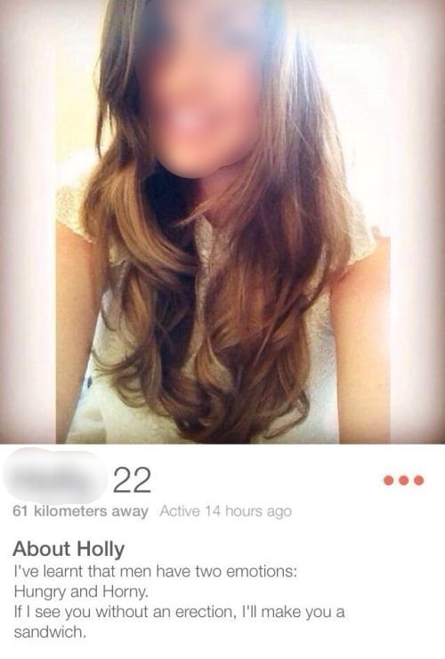 60 Creative Tinder Bios You May Want To Steal For Yourself Inspirationfeed