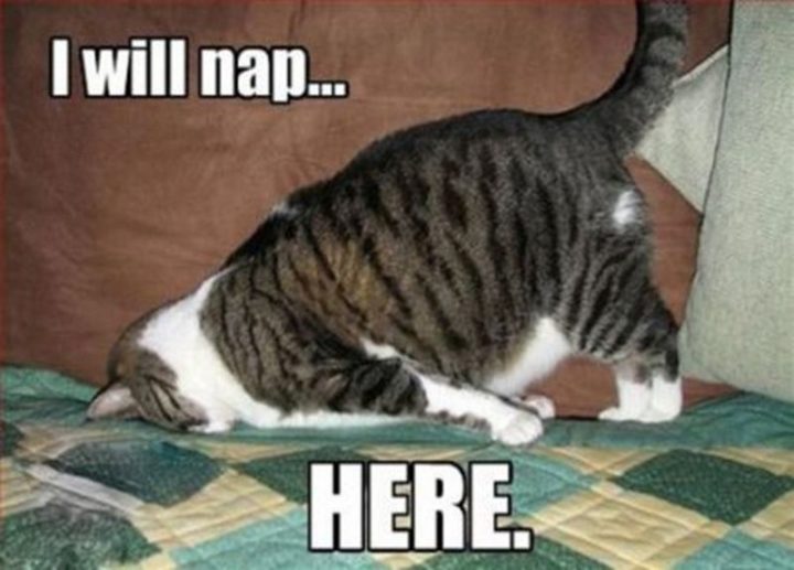 40 Truthful Memes About Being Tired Inspirationfeed