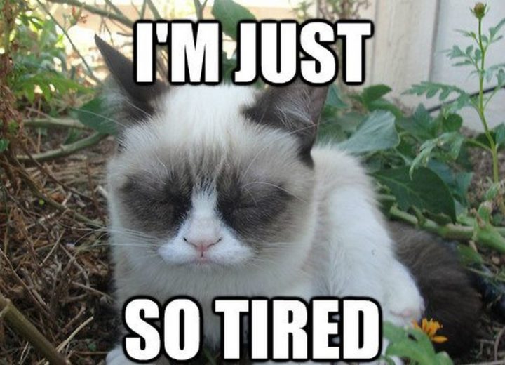 40 Truthful Memes About Being Tired Inspirationfeed