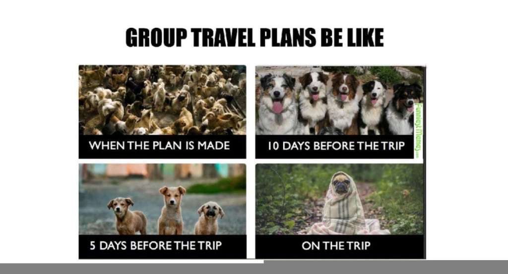 friends travel meme