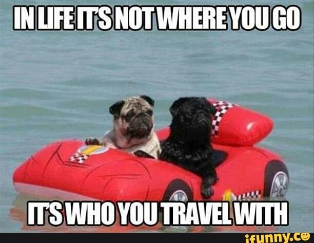 funny car travel memes