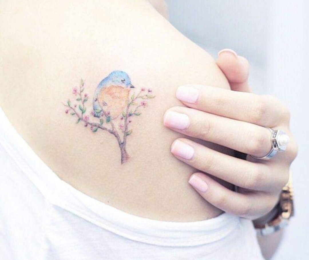 Latest Blue bird Tattoos  Find Blue bird Tattoos