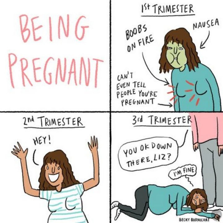 71 Funniest Pregnancy Memes On The Web | Inspirationfeed