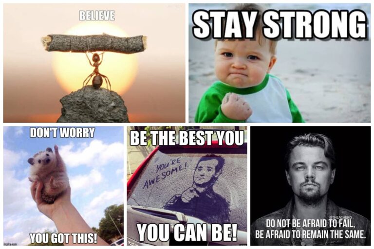 55 Funny Motivational Memes that will Uplift Your Spirits | Inspirationfeed