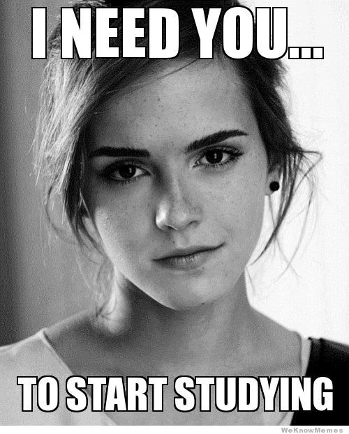 study motivation meme