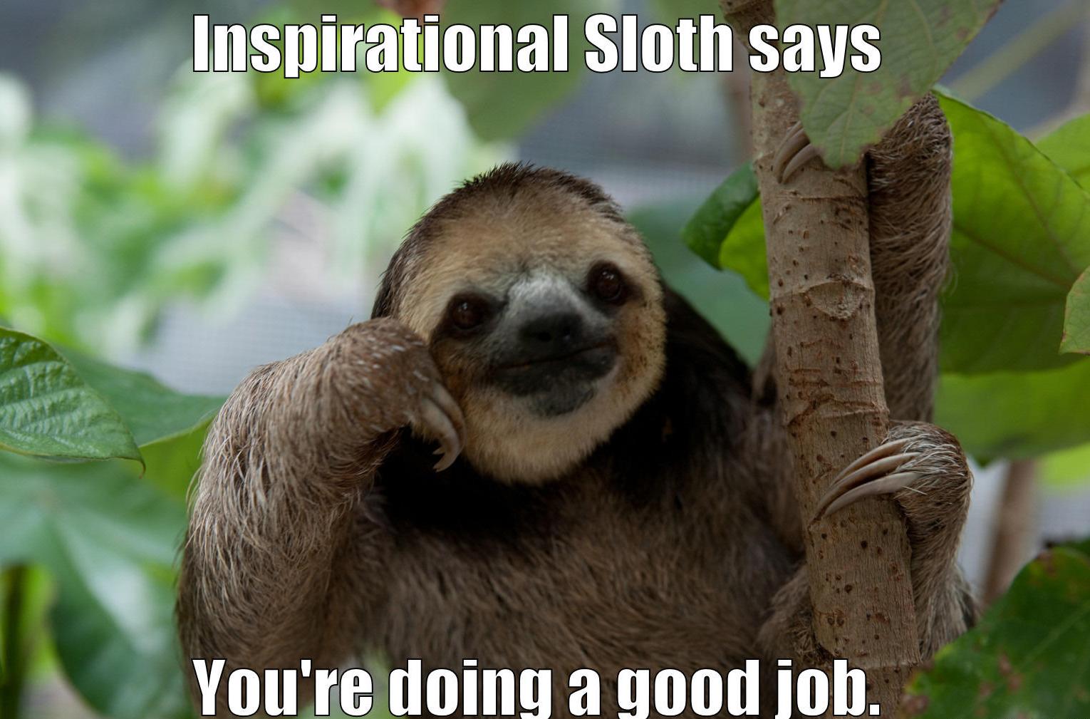 Motivational Animal Memes