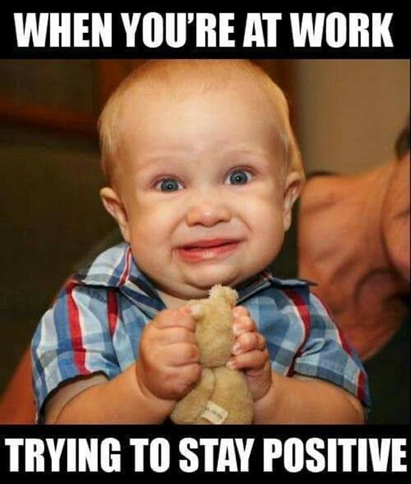 55 Funny Motivational Memes that will Uplift Your Spirits ...