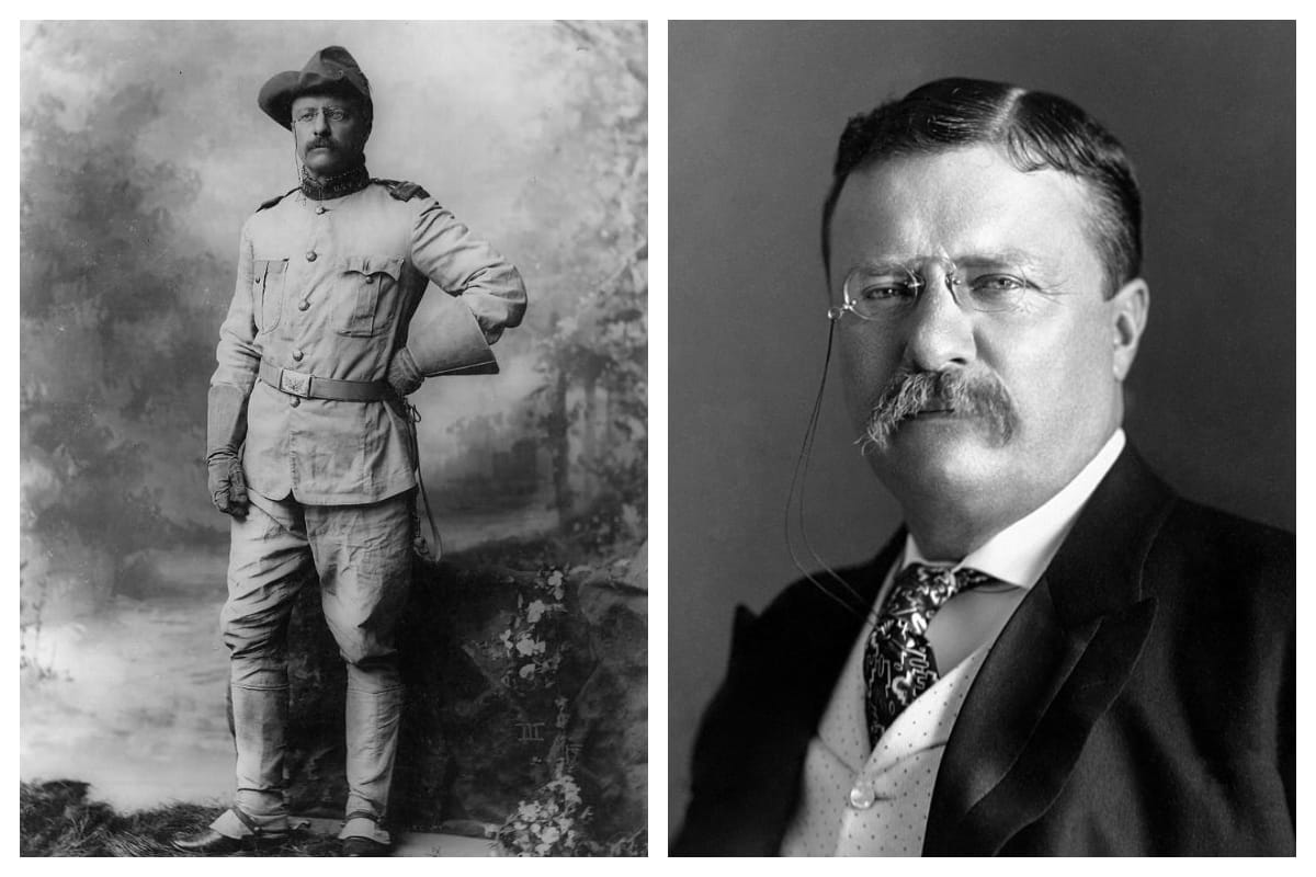 Teddy Roosevelt Collage