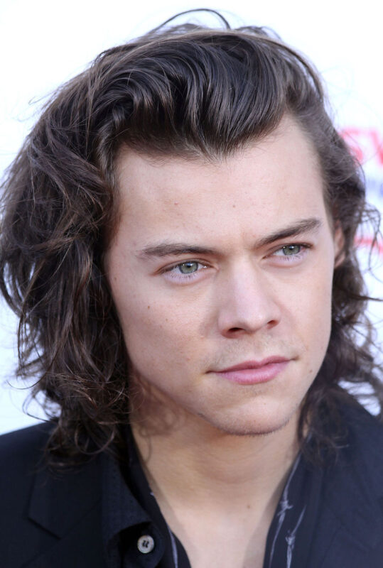 Harry Styles Net Worth Updated 22 Inspirationfeed