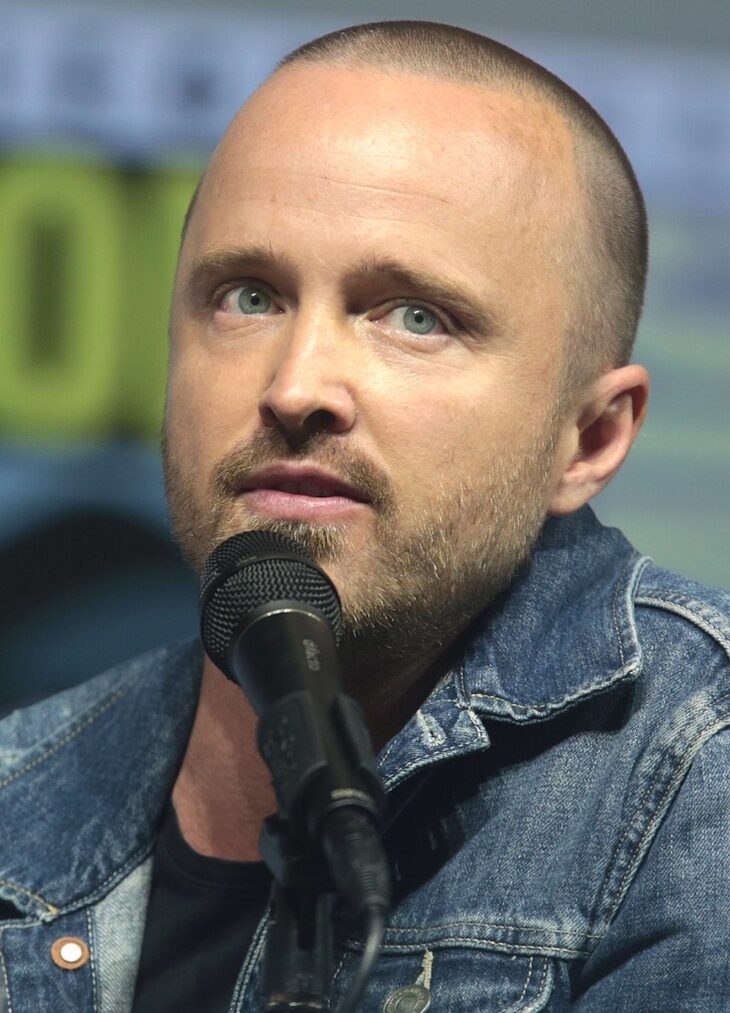 Aaron Paul’s Net Worth (Updated 2021) - Inspirationfeed