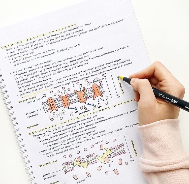 app for taking notes research