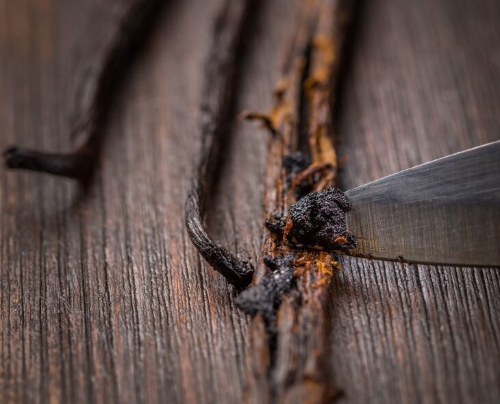 Where Does Vanilla Flavoring Come From? Inspirationfeed