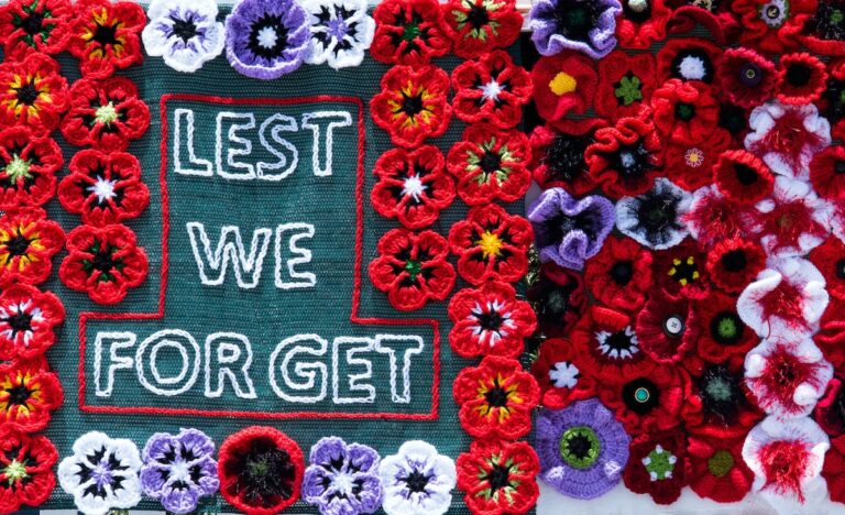 November visual data 6