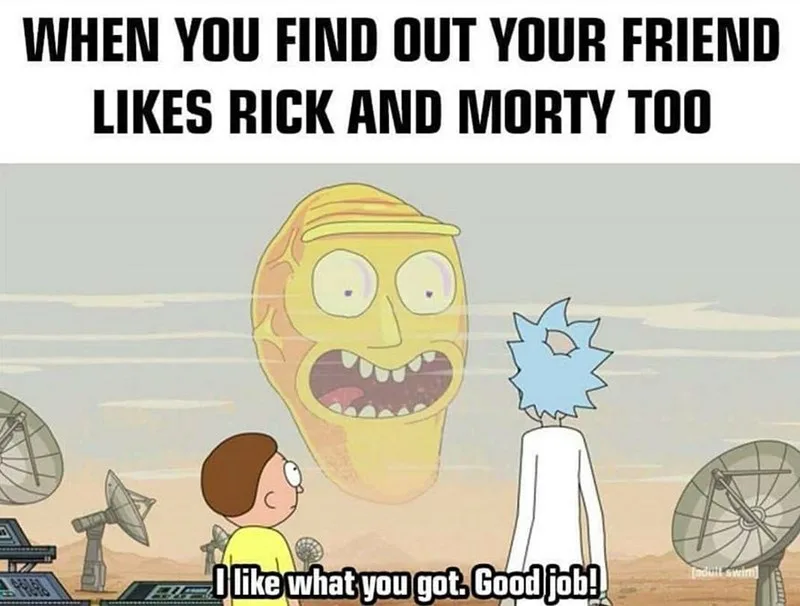 77 Of The Best Rick And Morty Memes That ll Get You Ooh Wee 77 Of The Best Rick And Morty Memes That ll Get You Ooh Wee