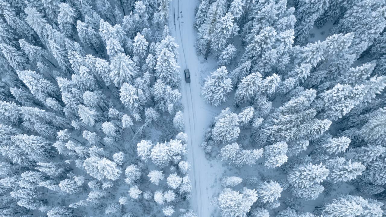 Car Driving Through A Winter Forest