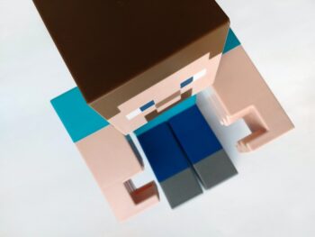 Minecraft Video Game Character