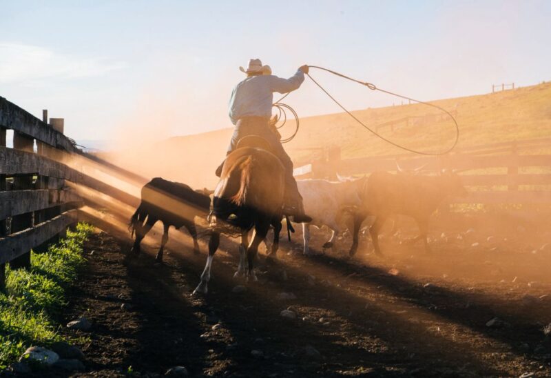 Ride Into The Sunset With These 60+ Inspiring Cowboy Quotes ...