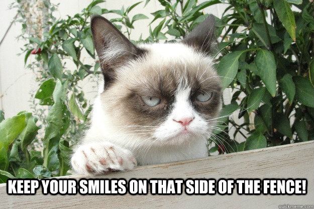 40 Smile Memes That ll Light Up Your Week Inspirationfeed