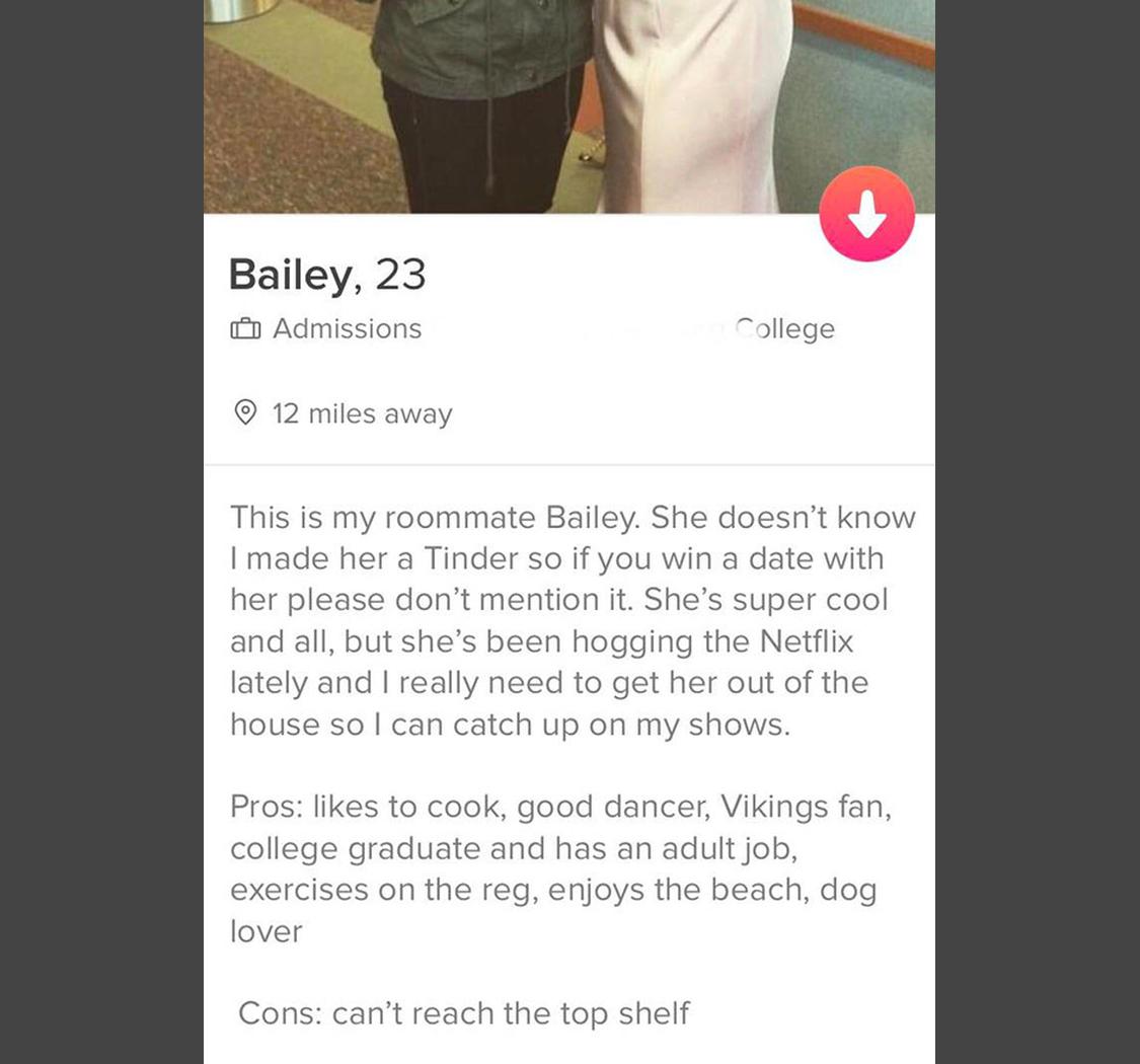 80 Creative Tinder Bios You May Want To Steal For Yourself | Inspirationfeed