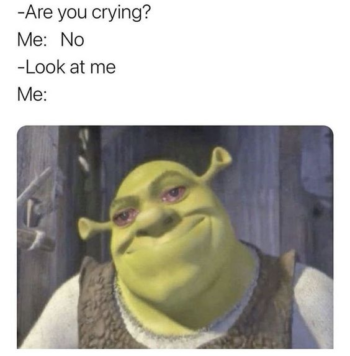 45 Crying Memes That Will Bring a Tear to Your Eye | Inspirationfeed