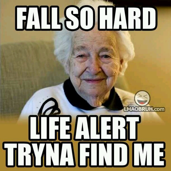 25+ Dope Life Alert Memes For All Ages | Inspirationfeed