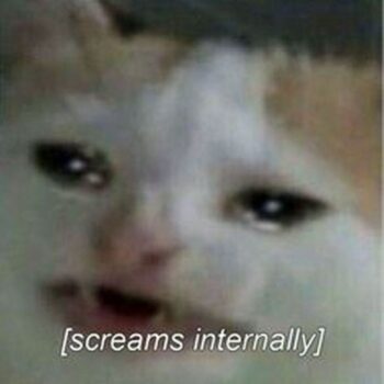 Feeling Down? 75+ Sad Memes to Help You Express Your Emotions ...