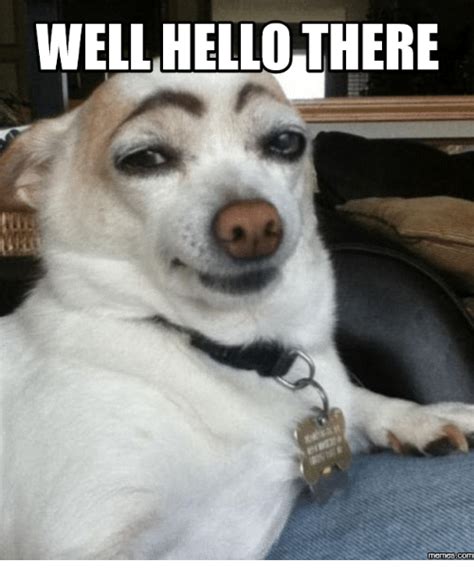40 Hello Memes To Help Break The Ice Inspirationfeed