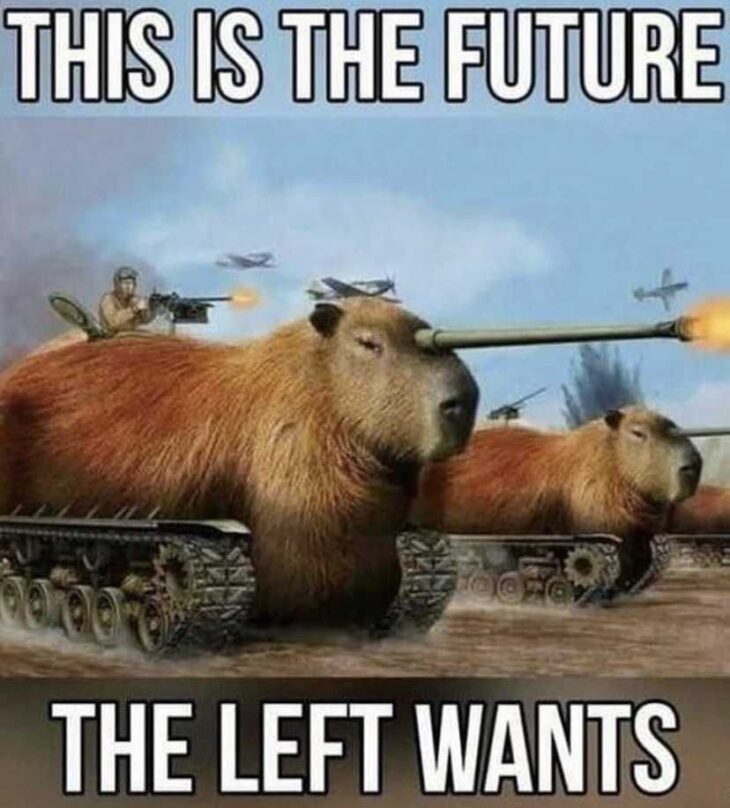 20 Capybara Memes To Make You Smile | Inspirationfeed